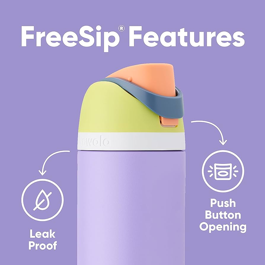 Owala FreeSip 24oz Stainless Steel Water Bottle Teal & Lilac/Pink